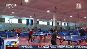 2026世界杯官网入口 乒乓乒乓球台的台